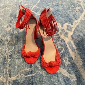 Joe’s strapped pumps with knot tie
